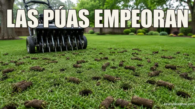 Un aireador de núcleos de empuje con púas huecas visibles sobre un césped sembrado de tapones cilíndricos de tierra, y agujeros limpios y abiertos con los bordes sin aplastar dejados en el césped, con las palabras “LAS PÚAS EMPEORAN” dispuestas en la parte superior del encuadre