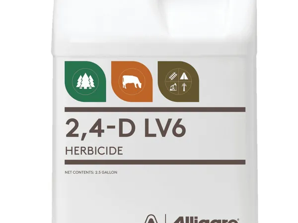 Alligare 2,4-D LV6 Selective Weed Killer, 2.5 galones — fotografía de producto del herbicida selectivo para hoja ancha sobre fondo liso