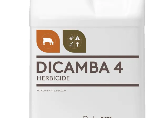 Alligare Dicamba 4 Herbicide, 2.5 galones — fotografía de producto del herbicida selectivo para hoja ancha sobre fondo liso