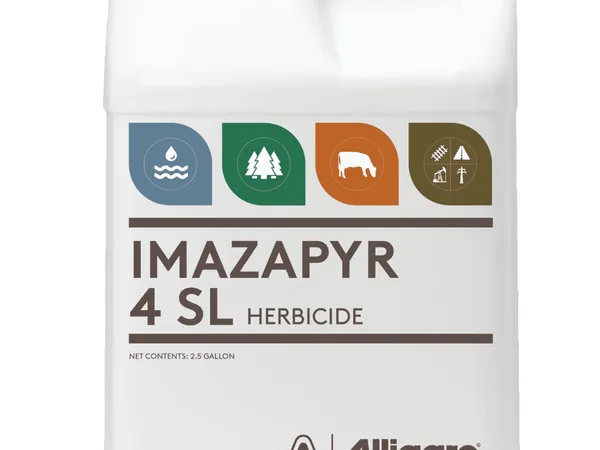 Alligare Imazapyr 4 SL Herbicide, 1 cuarto de galón — herbicida no selectivo con residualidad en el suelo para suelo desnudo y preparación de terreno, fotografía de producto sobre fondo liso
