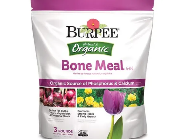 Burpee Natural & Organic Bone Meal 6-8-0 (3 lb) — fotografía de producto de la enmienda orgánica de fósforo sobre fondo liso