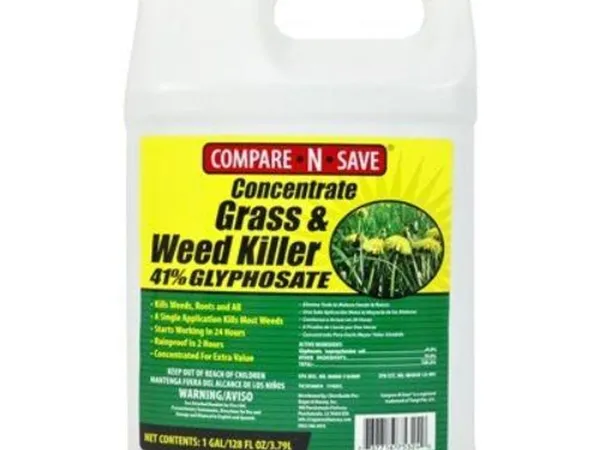 Compare-N-Save Concentrate Grass & Weed Killer, glifosato al 41% (1 gal) — fotografía de producto del herbicida sistémico no selectivo sobre fondo liso