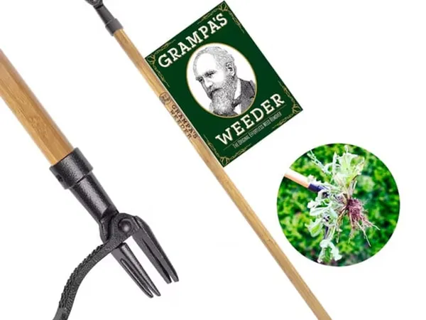 Grampa's Weeder Original Stand-Up Weed Puller (4 garras) — fotografía de producto del arrancamalezas manual sobre fondo liso