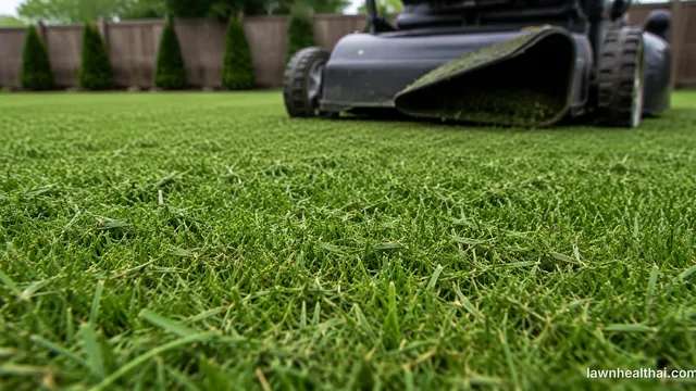 Short grass clippings settled down between the blades of a dense lawn rather than clumped on top, with a mower behind it discharging from an open chute and no collection bag fitted