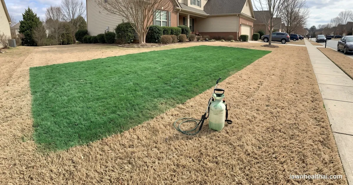 A dormant straw-coloured bermuda lawn photographed mid-application, one half sprayed a uniform deep green and the other still tan, with a backpack sprayer standing on the line between them