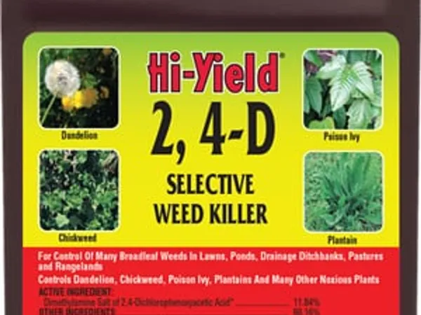 Hi-Yield 2,4-D Selective Weed Killer, 1 galón — fotografía de producto del herbicida selectivo para hoja ancha sobre fondo liso