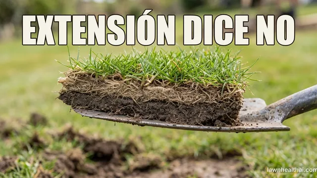 Una cuña de césped cortada del jardín y sostenida sobre la hoja de una pala, mostrando una capa marrón esponjosa y bien definida de tallos y raíces entre la hierba verde y el suelo, con las palabras “EXTENSIÓN DICE NO” dispuestas en la parte superior del encuadre