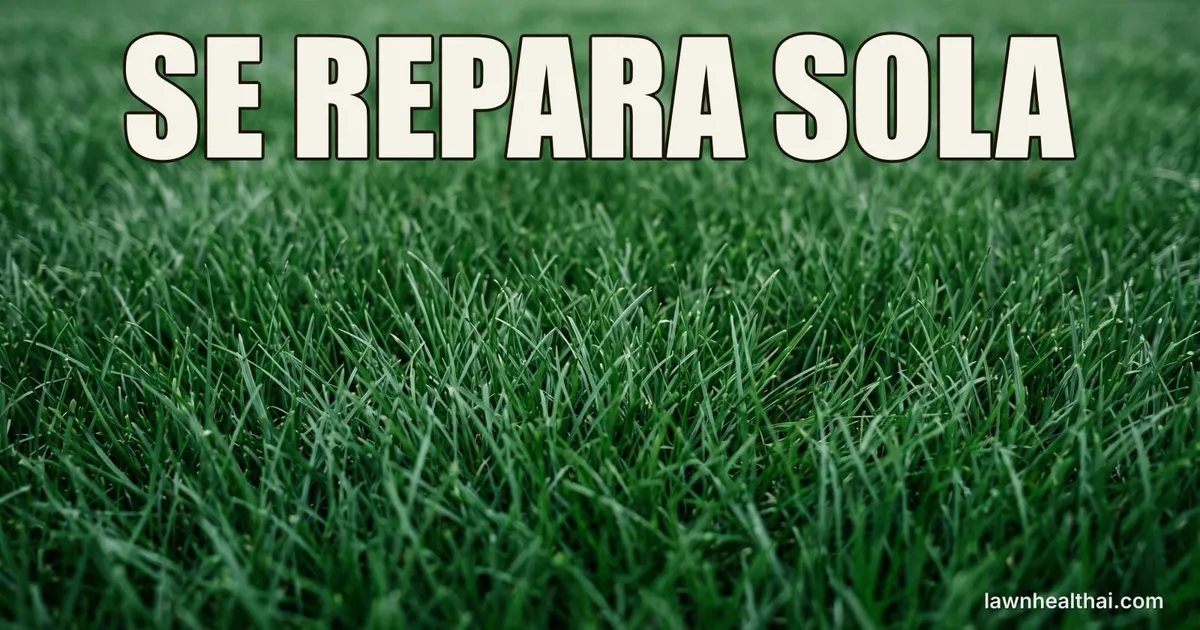 Un césped denso de poa de Kentucky de color verde oscuro fotografiado a nivel de hoja, con hojas finas y estrechas que forman una alfombra continua sin huecos visibles entre plantas, con las palabras “SE REPARA SOLA” dispuestas en la parte superior del encuadre