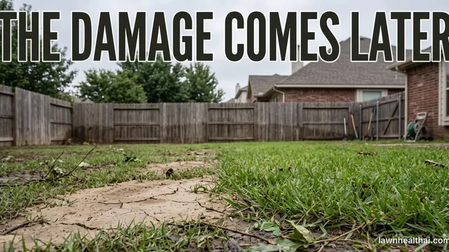 A fenced back garden after floodwater has drained, a wide sheet of dried and cracked silt covering the left half of the lawn while green grass survives on the right, with the words “The Damage Comes Later” set across the top