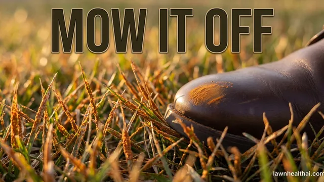 A close view of grass blades covered in reddish-orange rust pustules with a shoe toe pressed against them showing orange powder transferred onto the leather, in low late-summer light, with the words “Mow It Off” set across the top of the frame