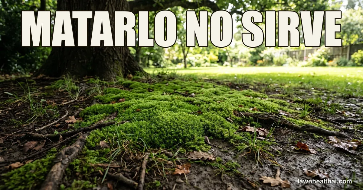 Un rodal denso de musgo verde brillante cubriendo suelo desnudo y húmedo en sombra profunda bajo un árbol maduro, con raíces expuestas y hojas caídas entre él y solo unas pocas hojas de hierba débiles sobreviviendo en los bordes, con césped soleado y abierto visible más allá del dosel, con las palabras “MATARLO NO SIRVE” dispuestas en la parte superior del encuadre