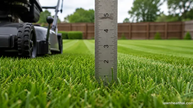 A steel ruler pushed down to the soil in a striped lawn, its markings showing the grass standing at roughly two inches, with a mower and its height-adjustment lever behind it
