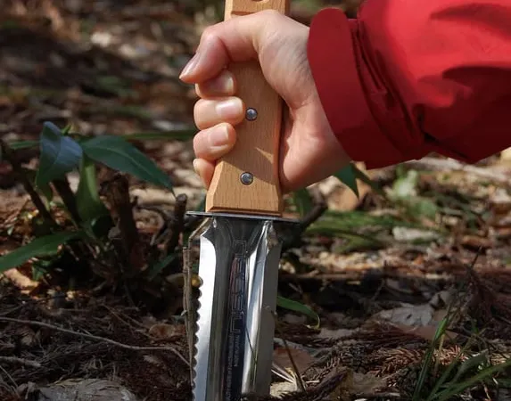 Cuchillo japones de desherbado hori hori Nisaku NJP650 introducido en la hojarasca por una mano con manga roja, con el mango de madera y la hoja concava dentada de acero inoxidable a la vista