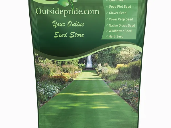 Outsidepride Legacy Fine Fescue Mix (10 lb) — fotografía de producto de la semilla de césped sobre fondo liso