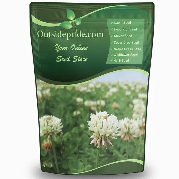 Outsidepride Perennial White Dutch Clover Seed — clover seed for lawns and living mulch product photograph on a plain background