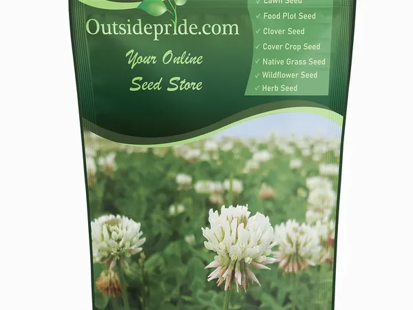 Outsidepride Perennial White Dutch Clover Seed — fotografía de producto de la semilla de trébol para céspedes y cubierta viva sobre fondo liso