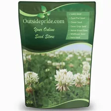 Outsidepride Perennial White Dutch Clover Seed — clover seed for lawns and living mulch product photograph on a plain background