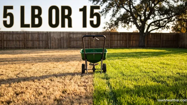 A warm-season lawn in late autumn split down the middle: dormant straw-tan bermudagrass on one side and bright green overseeded ryegrass on the other, with a walk-behind spreader standing on the line between them and the words “5 LB OR 15” set across the top of the frame