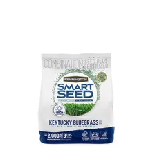 Pennington Smart Seed Kentucky Bluegrass Blend — grass seed product photograph on a plain background
