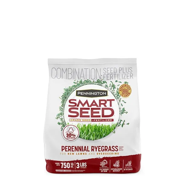 Pennington Smart Seed Perennial Ryegrass (3 lb) — grass seed product photograph on a plain background