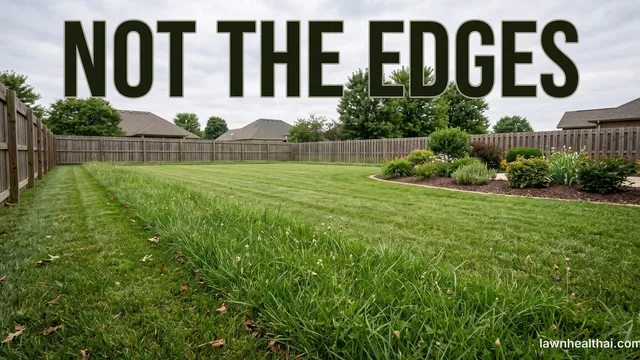 A lawn photographed from the edge showing a neatly cut open area behind a taller uncut strip running along a fence line and around a bed, the contrast between the two clearly visible, with the words “Not the Edges” set across the top of the frame