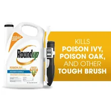 Roundup Poison Ivy Plus Tough Brush Killer Concentrate, 32 oz β brush and poison ivy herbicide product photograph on a plain background