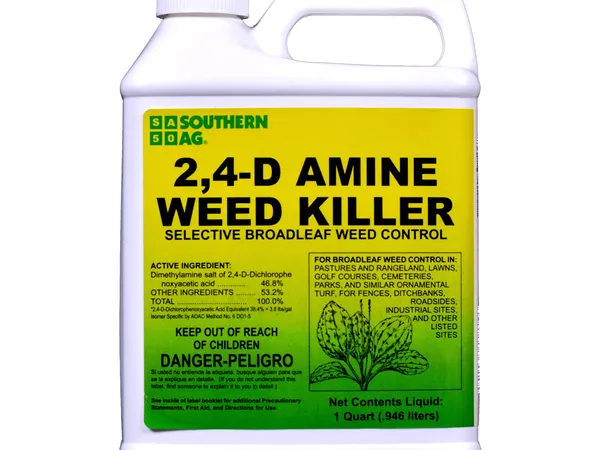 Southern Ag Amine 2,4-D Weed Killer, 32 oz — fotografía de producto del herbicida selectivo para hoja ancha sobre fondo liso