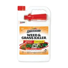 Spectracide Weed & Grass Killerβ Ready-to-Use (1 gal) β non-selective ready-to-use herbicide product photograph on a plain background