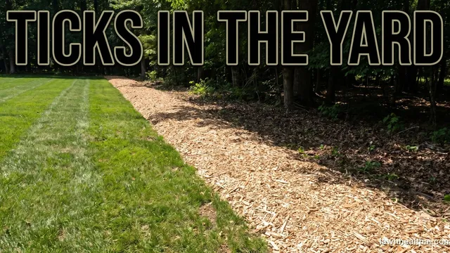 A wide strip of pale wood chips laid as a barrier between a mown green lawn and the leaf litter and trees of a wooded property edge, with the words “Ticks in the Yard” set across the top