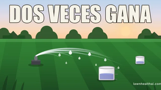 Ilustración de un aspersor de césped al amanecer lanzando agua sobre un césped verde con franjas, con dos latas de lados rectos sobre la hierba — la más cercana con notablemente más agua que la lejana, con las palabras “DOS VECES GANA” dispuestas en la parte superior del encuadre